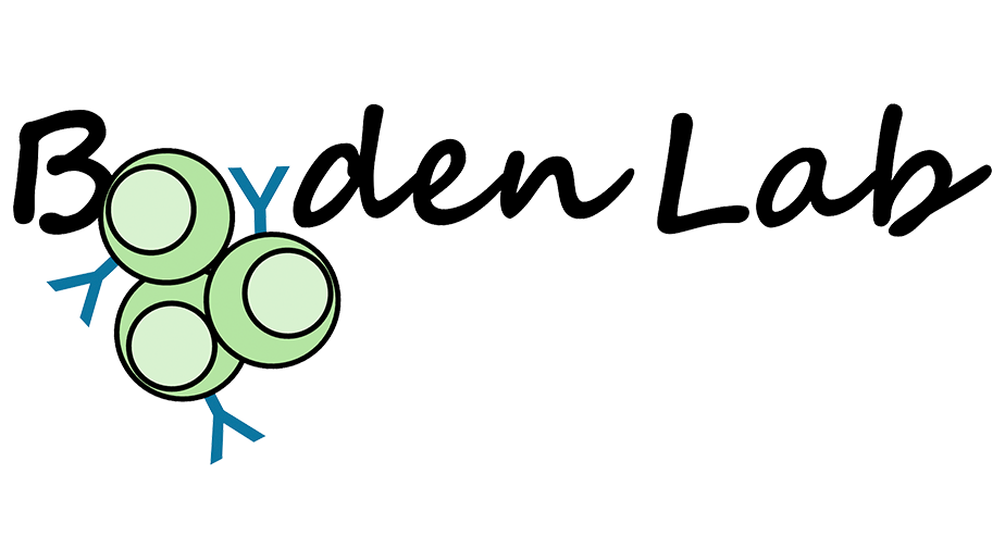 Contains the stylized text "Boyden Lab" with illustrations of B-Cells